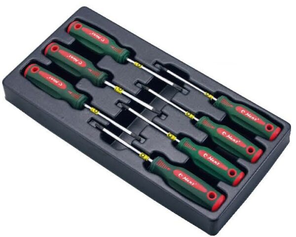 TT-17/ Star Screwdriver Set in 8 Pcs Plastic Tray